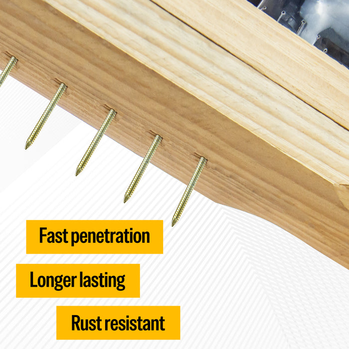 2'' to 3'' Coil Siding Nails - Electro Galvanized Ring Shank