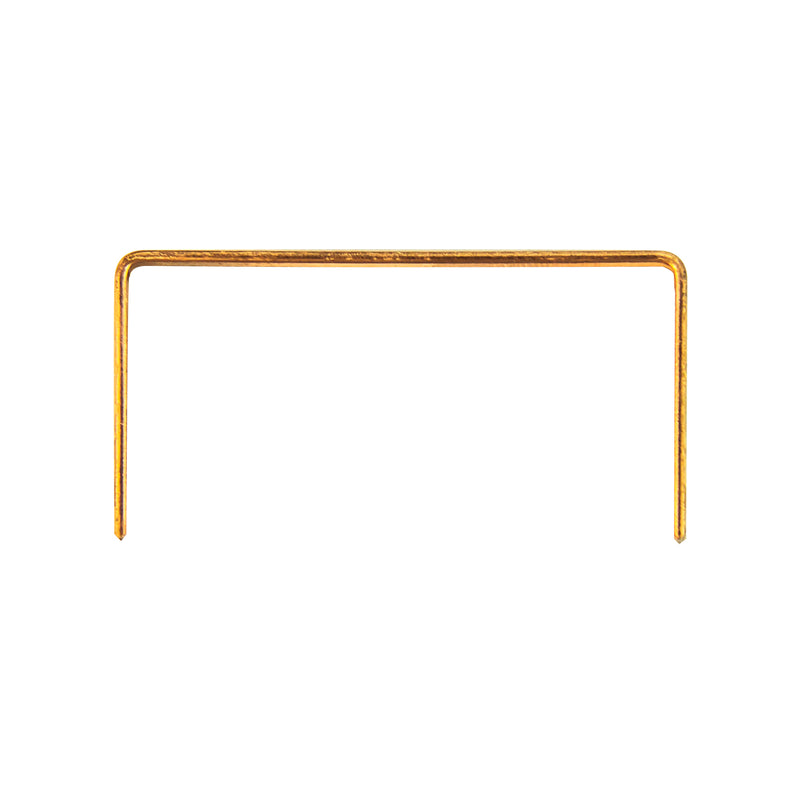 Single meite USA 16 gauge 1-3/8-inch crown carton closing staple showing its wide crown and straight legs on a white background